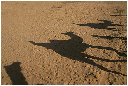 Karawane_i.jpg - Touristen-Karawane in der Wüste Thar